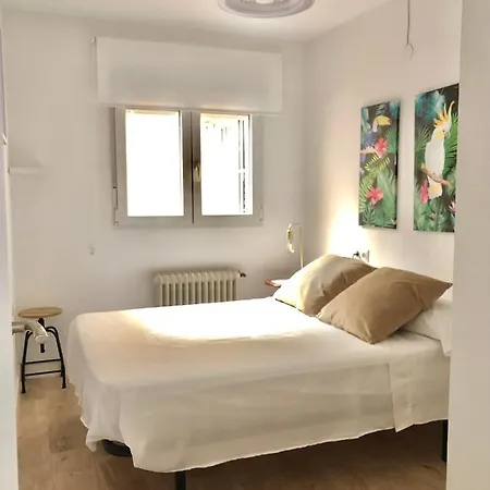 Fleming Centro Apartment Granada